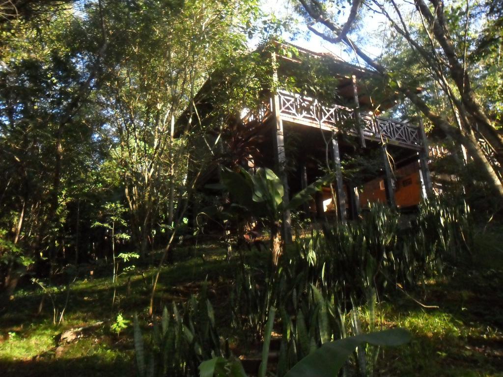 Panambi Lodge B&B Puerto Iguazu Bagian luar foto