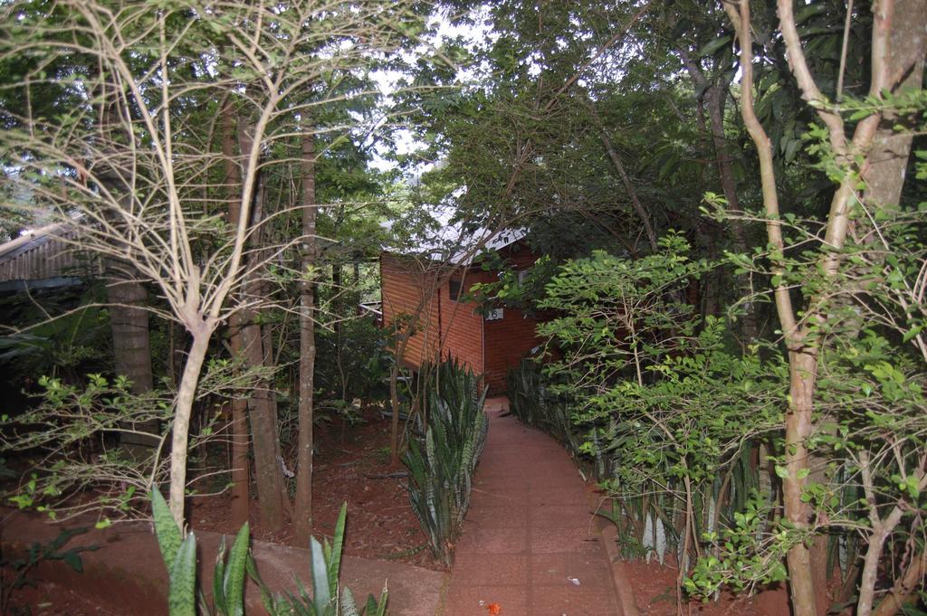 Panambi Lodge B&B Puerto Iguazu Bagian luar foto