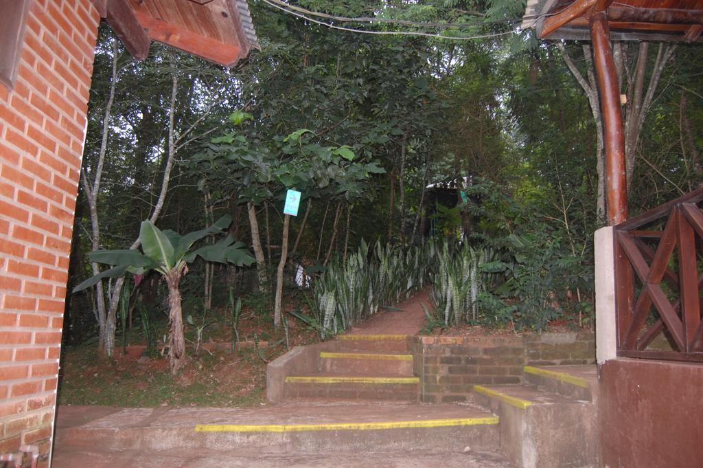 Panambi Lodge B&B Puerto Iguazu Bagian luar foto
